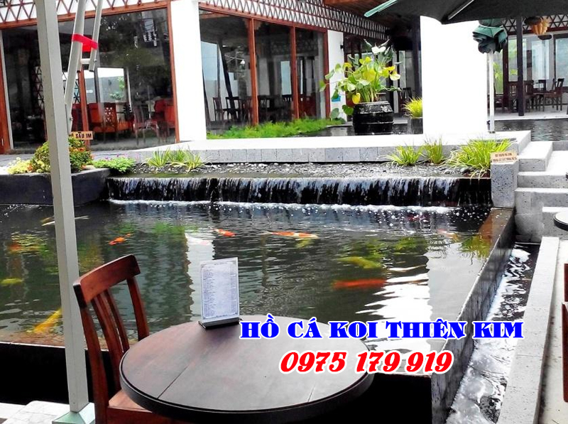 Hồ cá koi đẹp quán cà phê quận 2