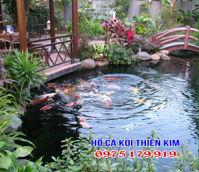 Hồ cá koi đẹp tại Đà Nẵng